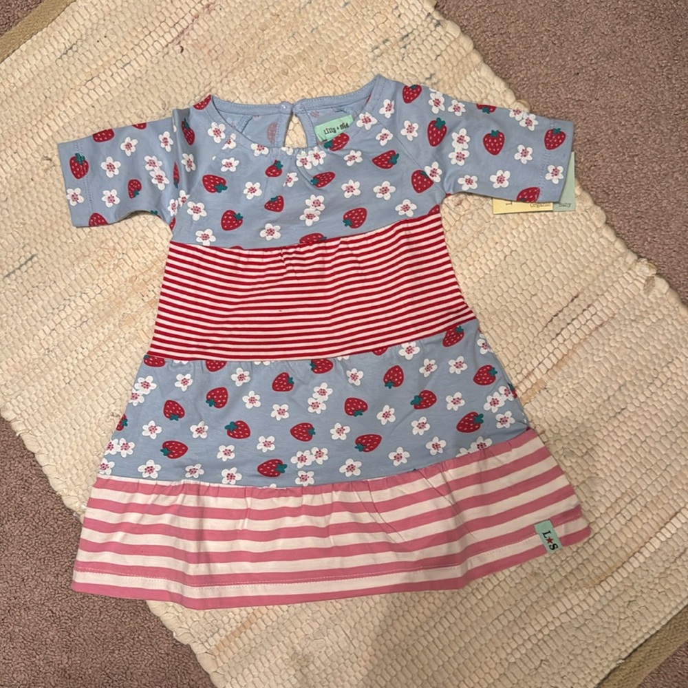 Lilly + Sid Strawberries and Stripes Dress NWT 0-3mo